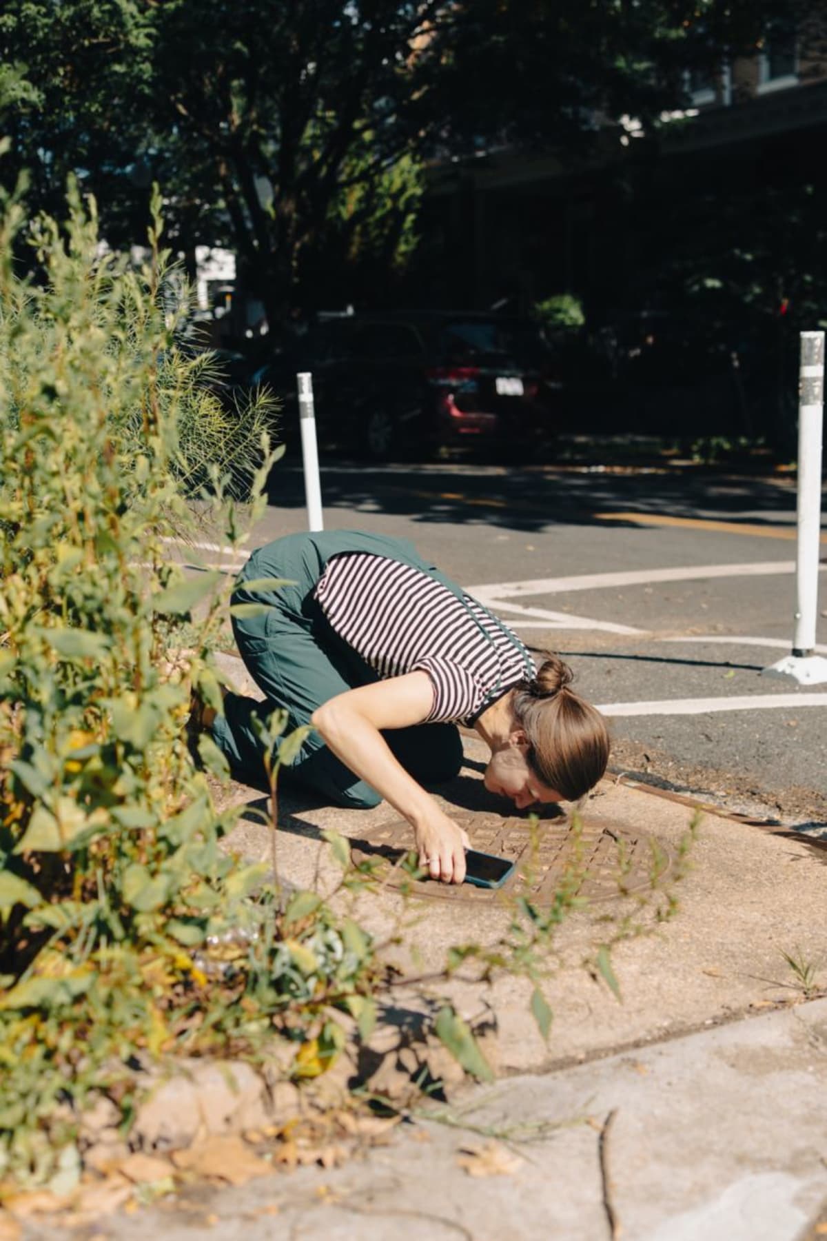 DC Mom's Mosquito Campaign Reaches 1,800 Homes in 3 Months - Image 4