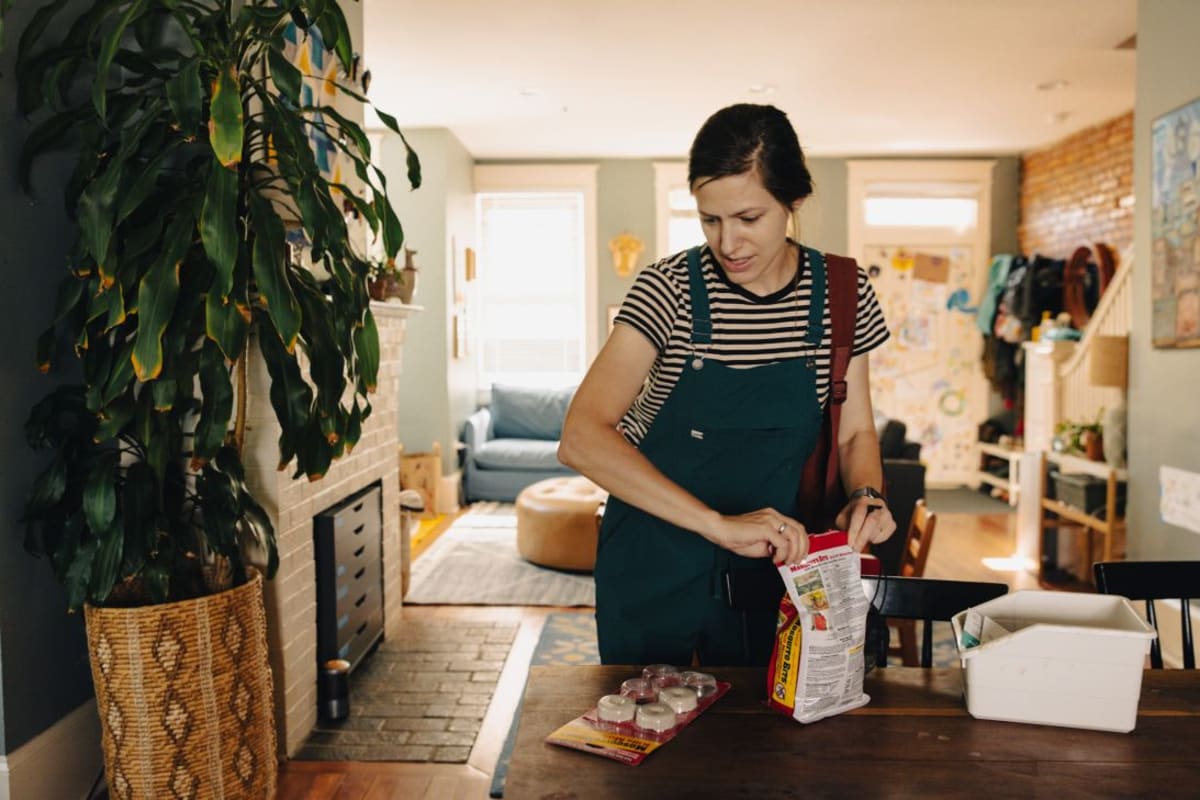 DC Mom's Mosquito Campaign Reaches 1,800 Homes in 3 Months - Image 5