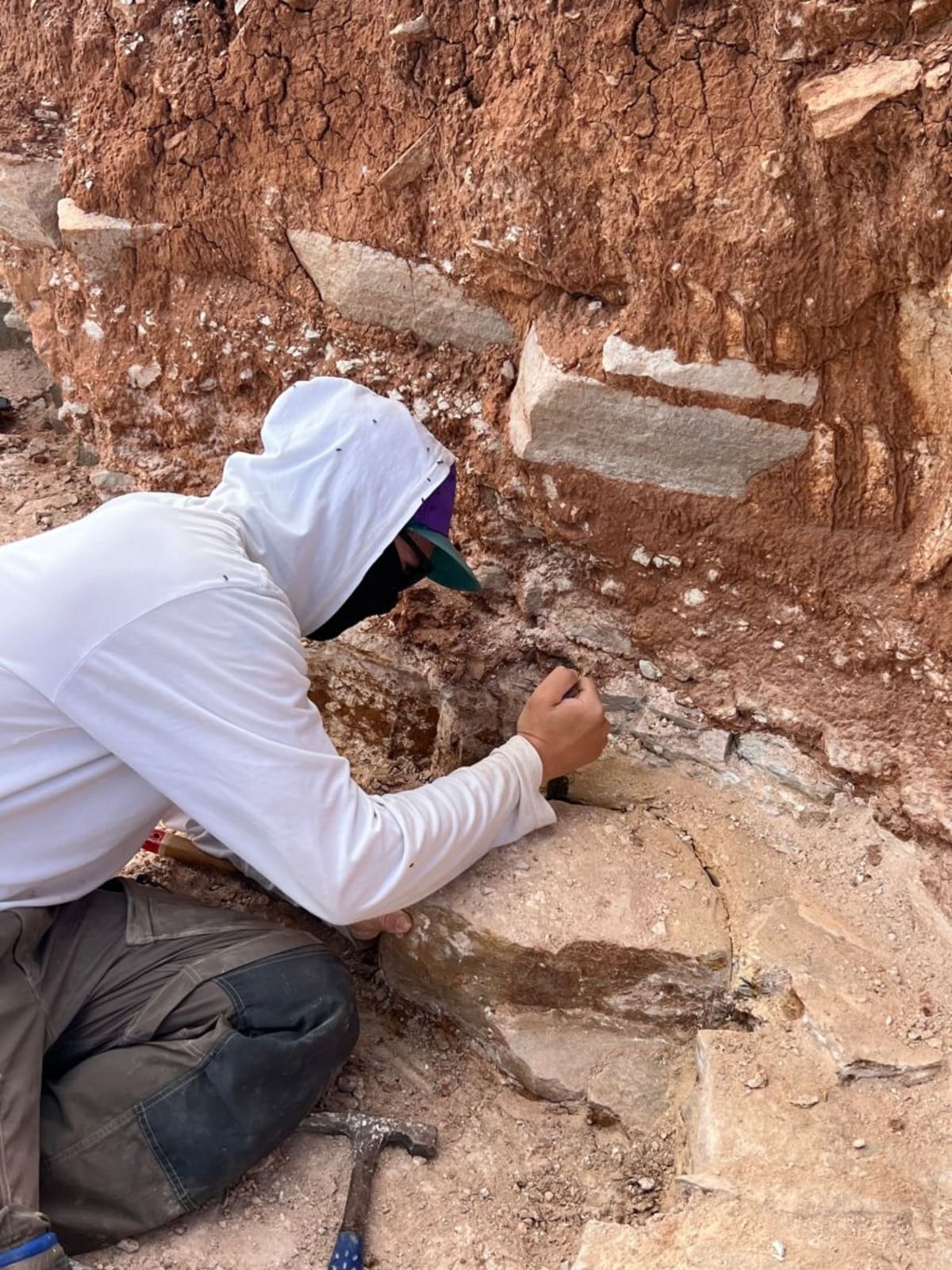 550-Million-Year-Old Worm Was First Known Righty - Image 3