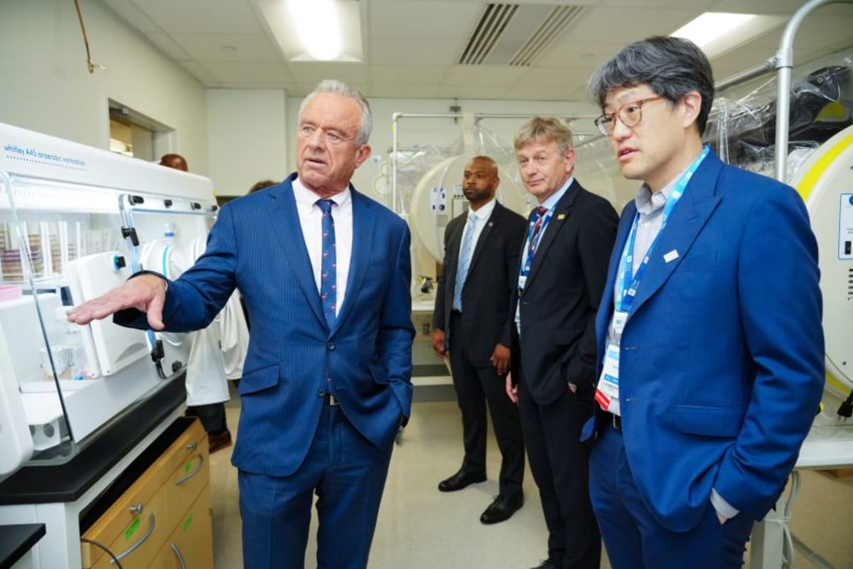 Gut Health Breakthrough May Transform Cancer Treatment - Image 3