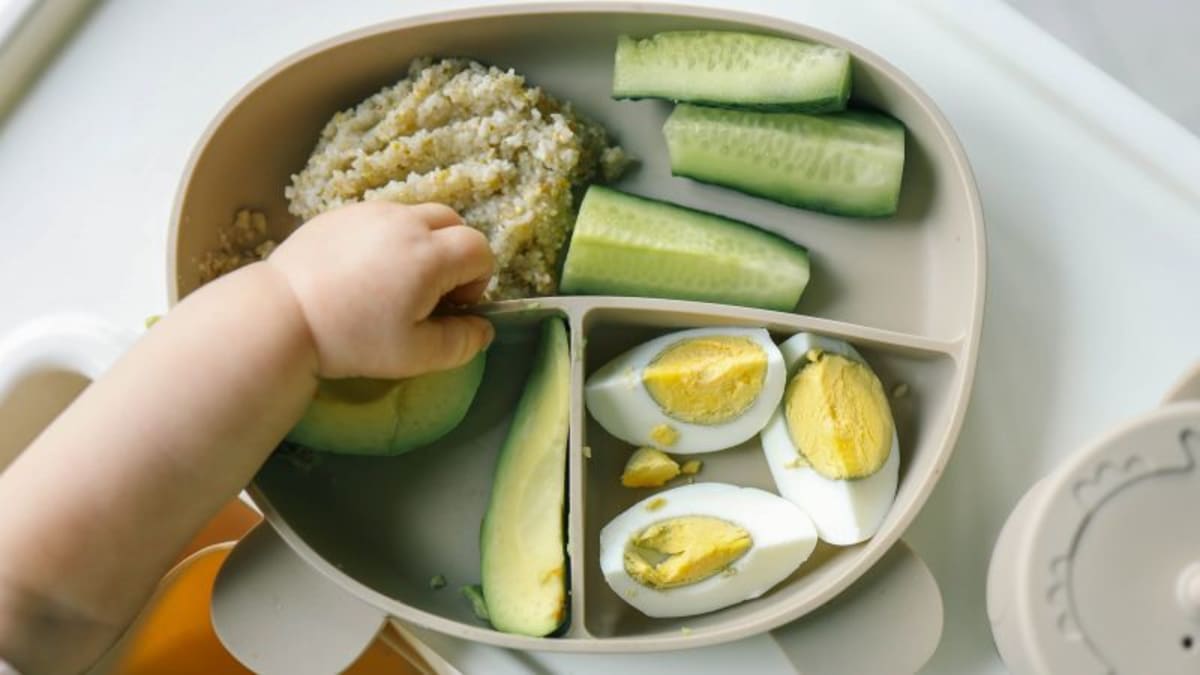 Baby in high chair eating solid foods including eggs for first time