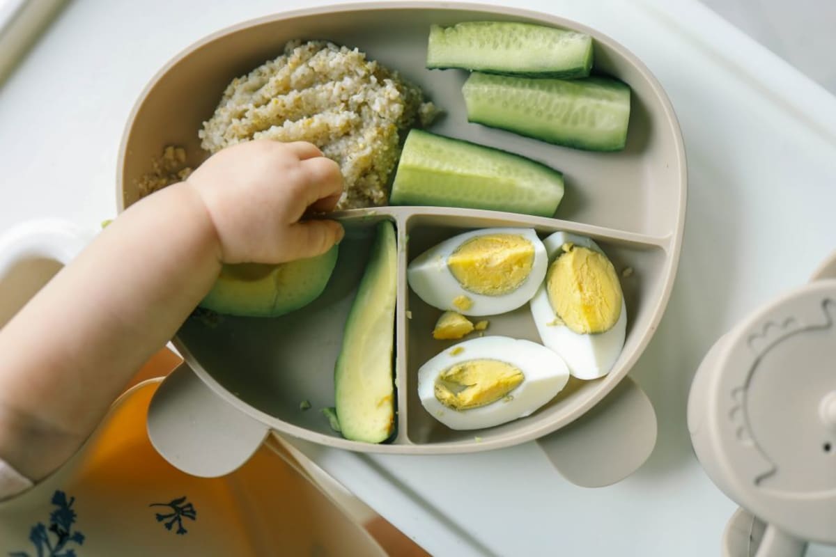 Egg Allergies Drop 17% After Guidelines Shift - Image 2