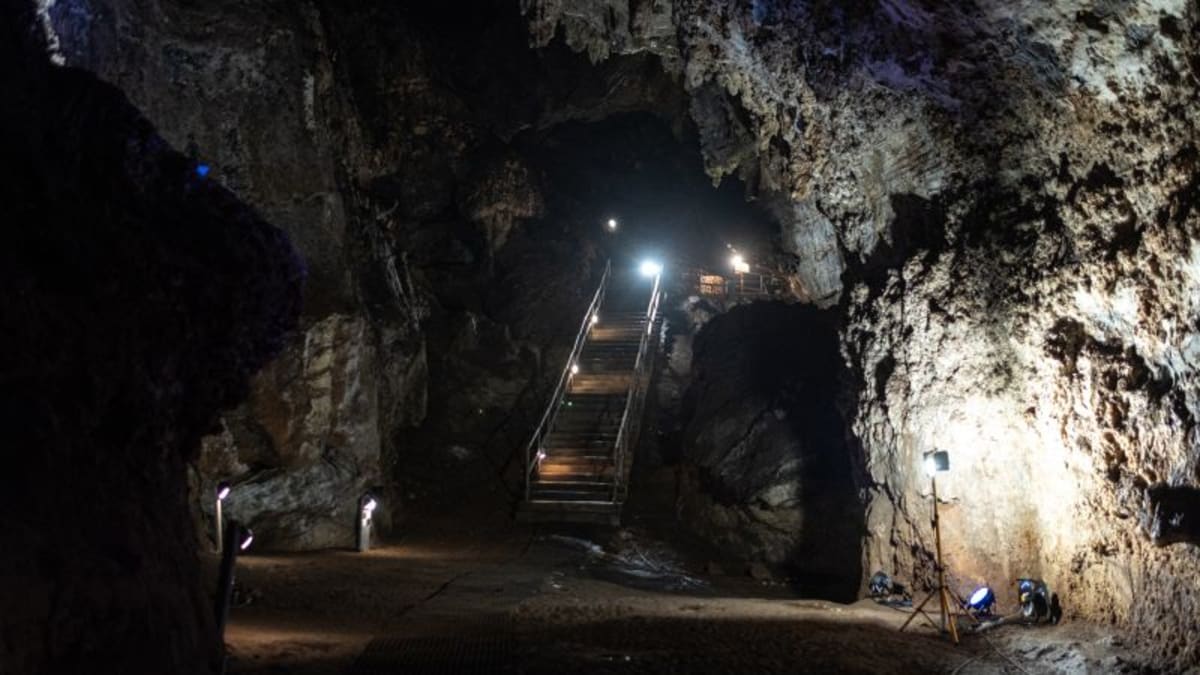 Digital reconstruction comparison showing crushed and restored skull of Little Foot ancient human ancestor