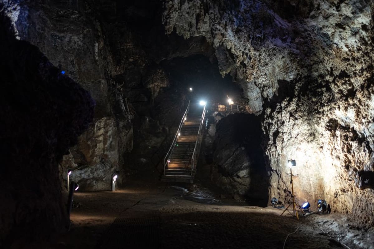 Scientists Reveal 3.67 Million-Year-Old Ancestor's Face - Image 2