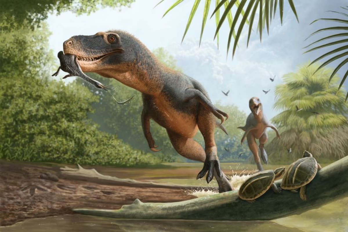 Dinosaur Poop Feather Reveals Why Modern Birds Survived - Image 5