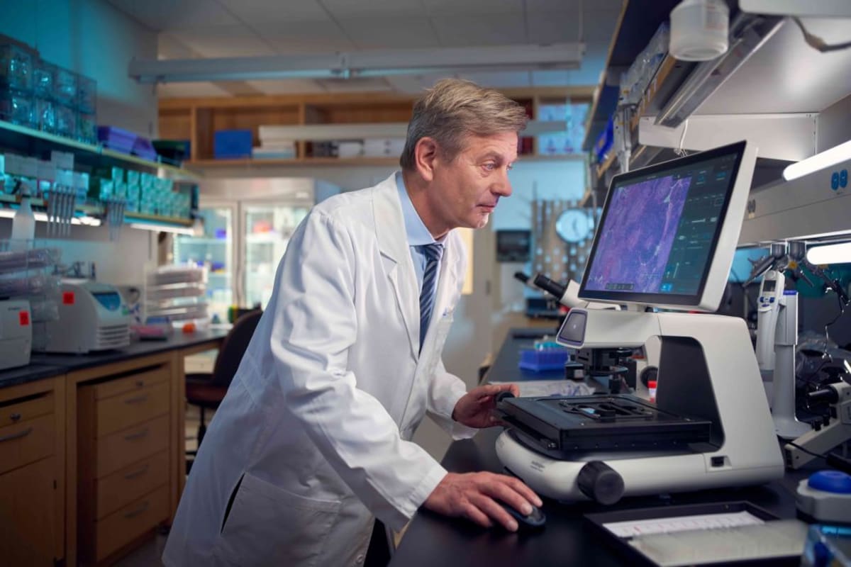 Gut Health Breakthrough May Transform Cancer Treatment - Image 2