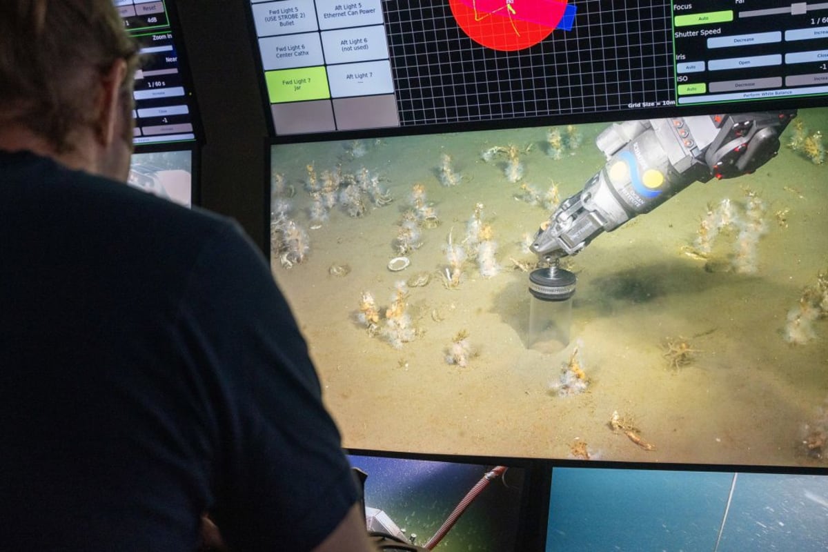 Scientists Find Microbes That May Explain Complex Life - Image 2