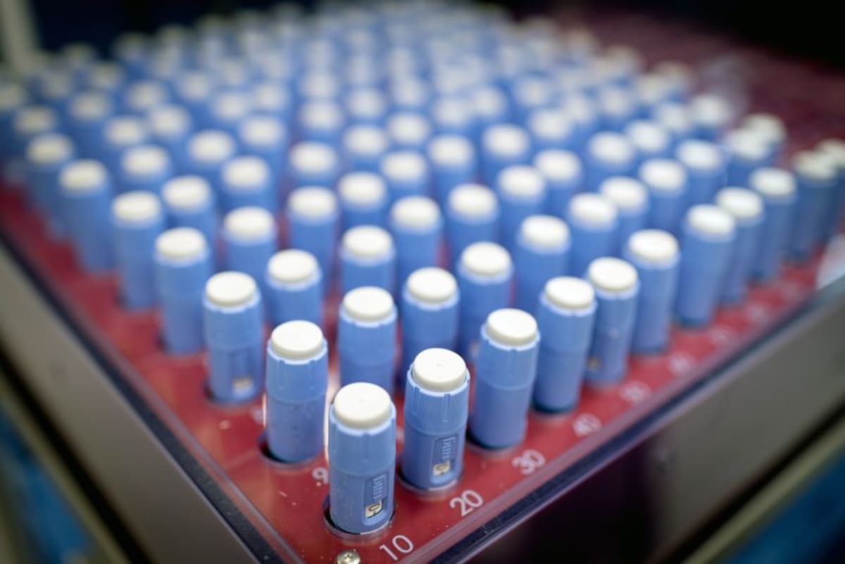 GLP-1 Drugs Help Hearts and Livers Without Weight Loss - Image 3