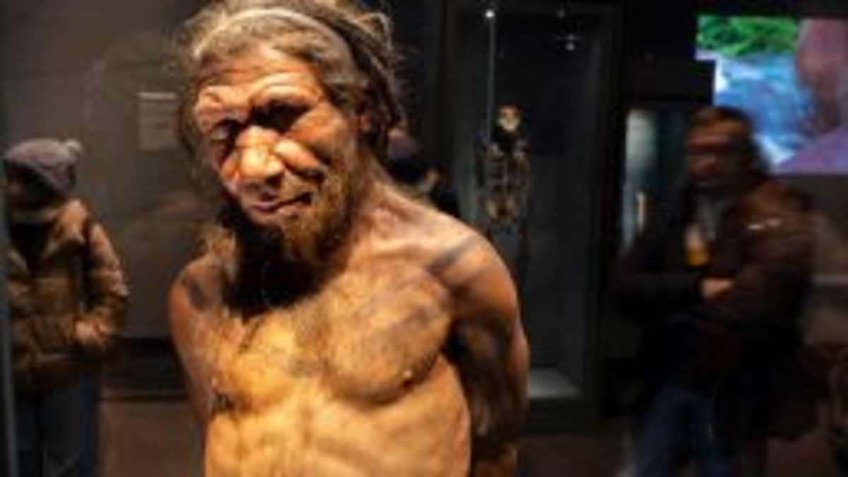 Scientists Find Two 'Ghost' Ancestors in Our DNA - Image 5