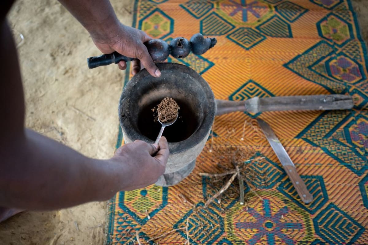 Trump Fast-Tracks Psychedelic Drug for PTSD and Depression - Image 5