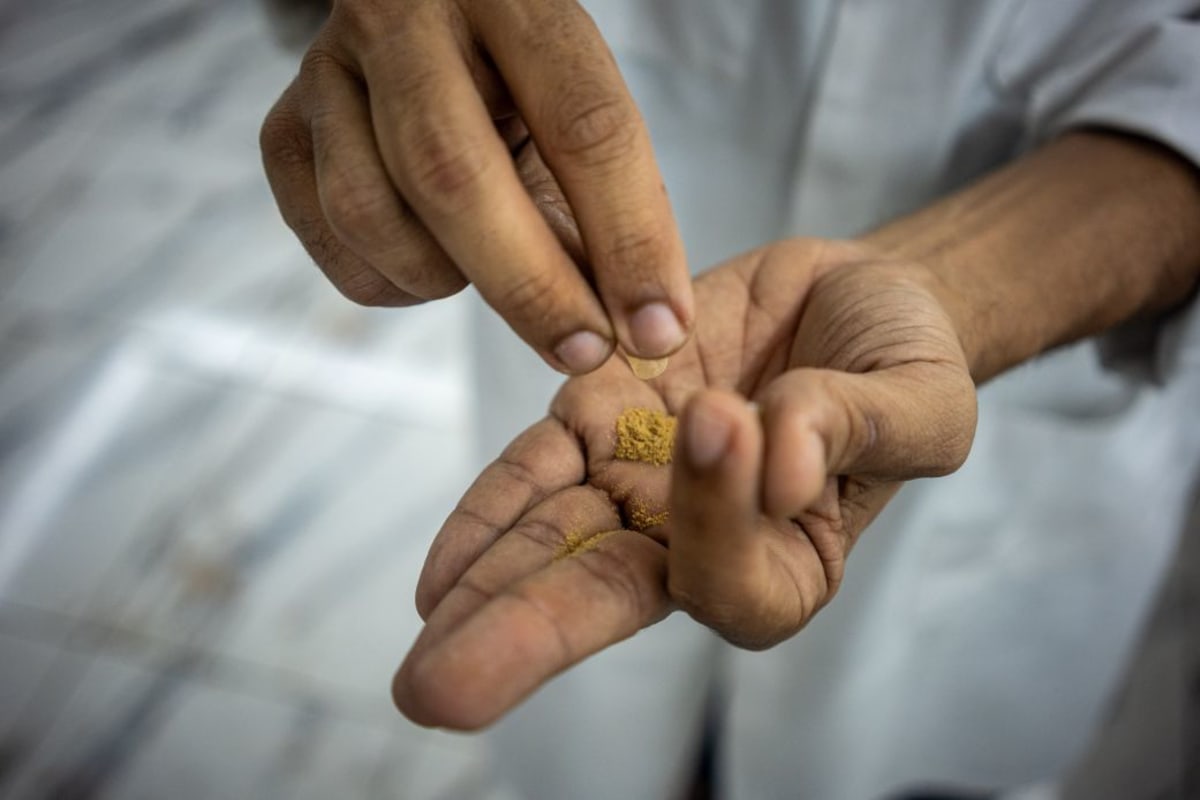 Trump Fast-Tracks Psychedelic Drug for PTSD and Depression - Image 2