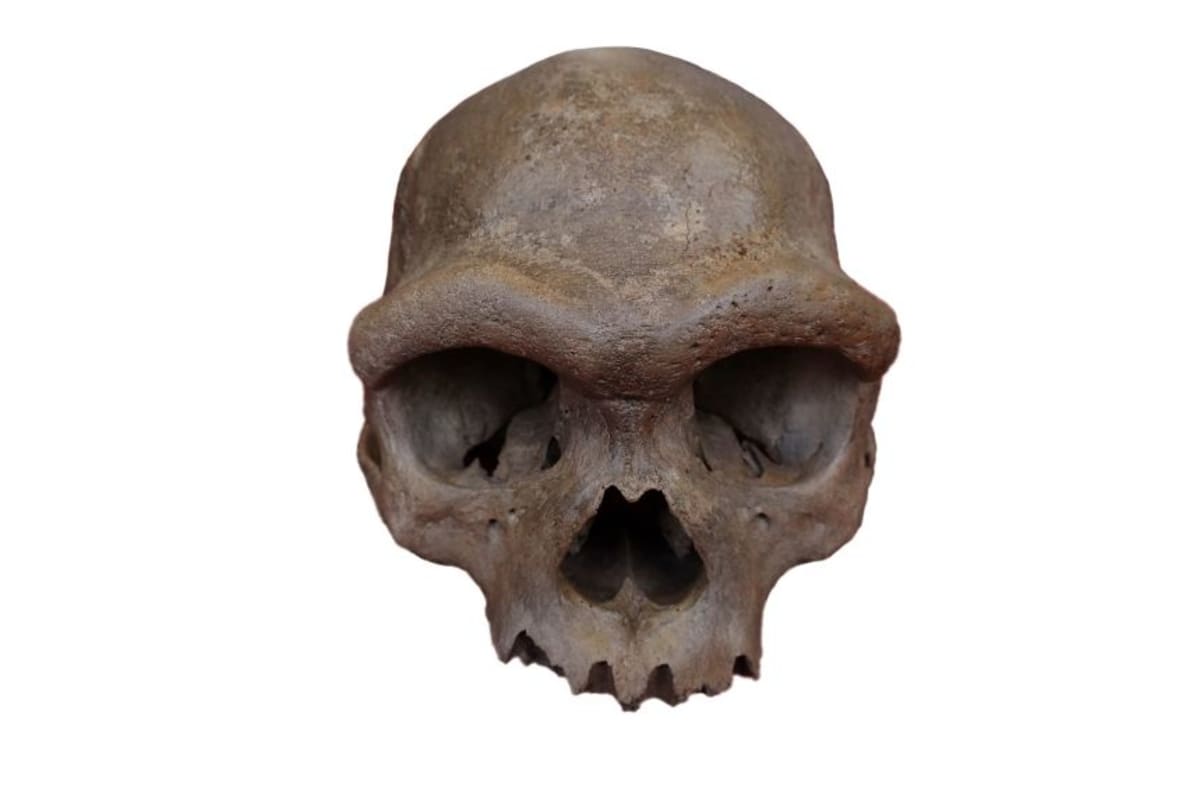 China Cave Reveals How Extinct Denisovans Hunted and Lived - Image 5