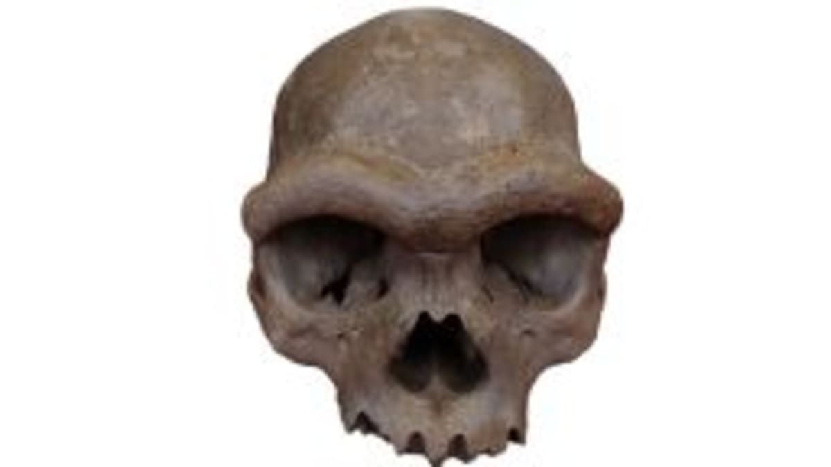 Scientists Find Two 'Ghost' Ancestors in Our DNA - Image 3