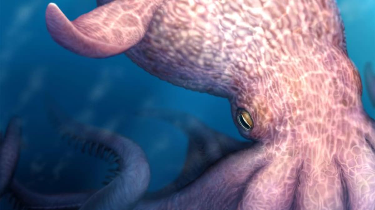 Giant Octopuses Ruled Ancient Seas 100 Million Years Ago