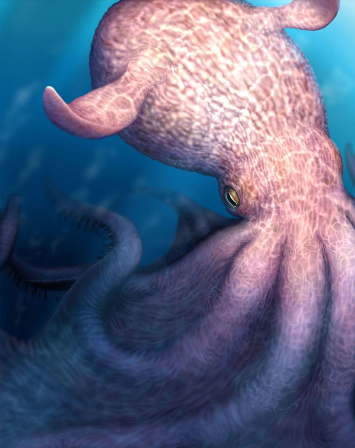 Giant Octopuses Ruled Ancient Seas 100 Million Years Ago - Image 2