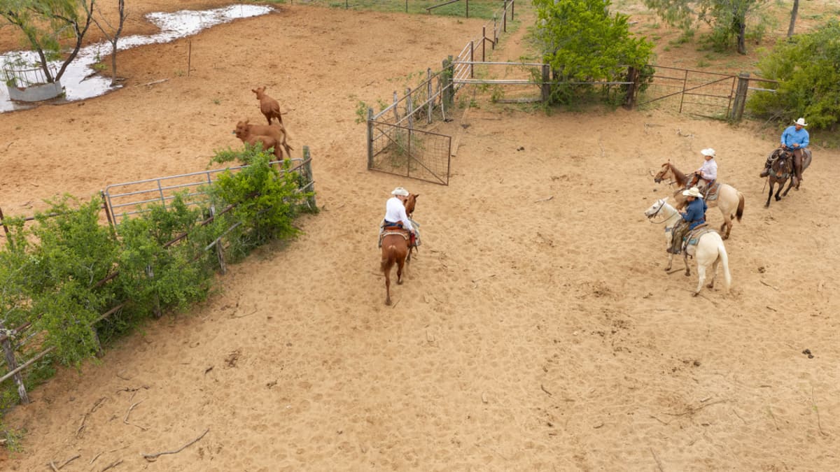 Ranchers Turn Desert Into Wildlife Oasis With Solar Pumps - Image 2