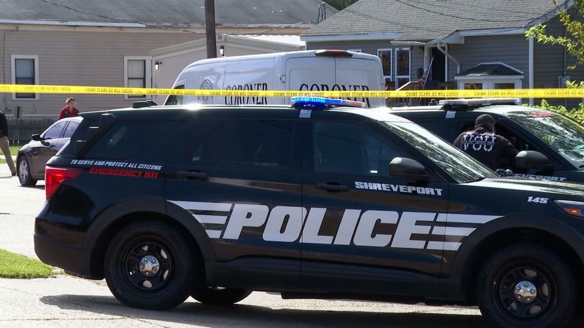 325,000 Volunteers Power Red Cross Disaster Relief - Image 2