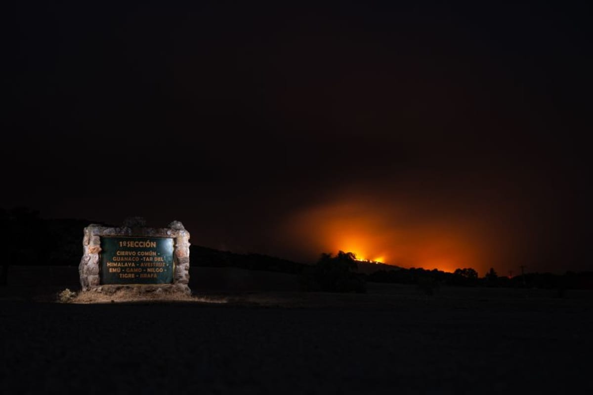 Spain Saves Thousands of Animals From Raging Wildfires - Image 5
