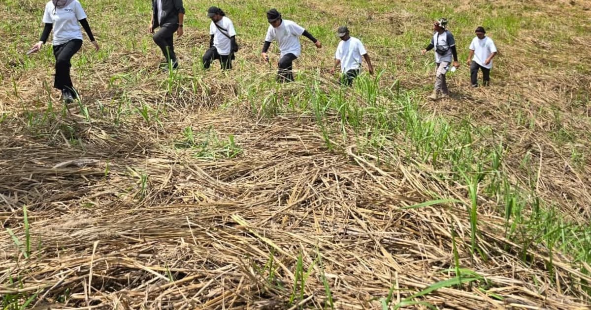 Layered tropical forest restoration project with tall trees, fruit crops, and ground plants in Indonesia