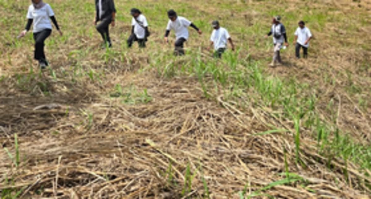 Google Backs Indonesia Forest Restoration With 260K Credits - Image 2