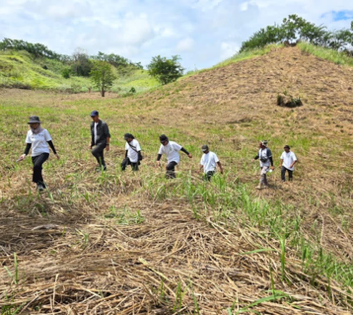 Google Backs Indonesia Forest Restoration With 260K Credits - Image 3