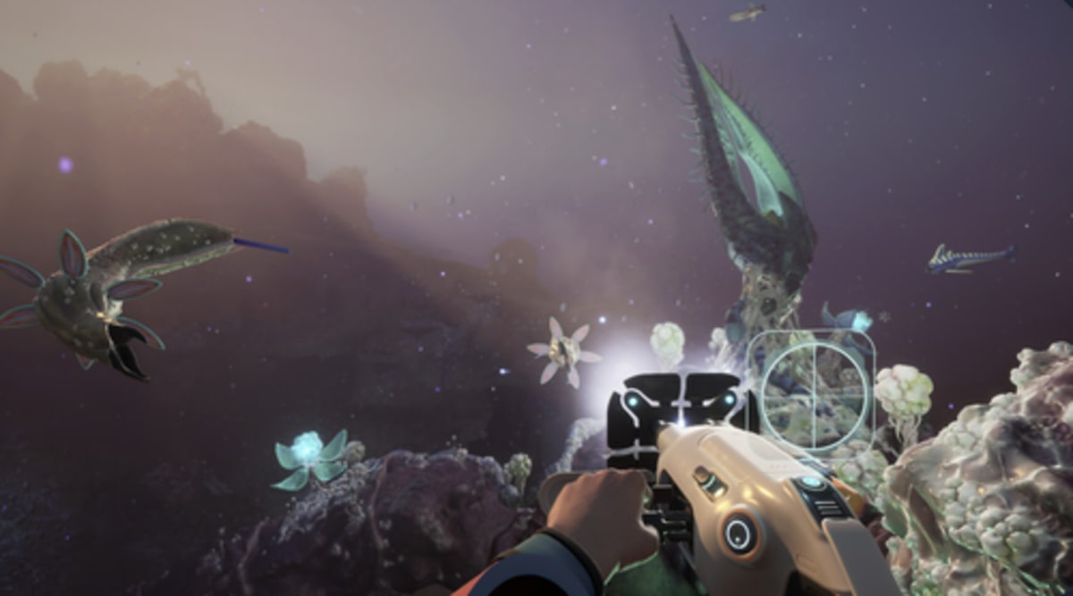 Subnautica 2 Devs Donate $100K, Clean Real Beaches - Image 3