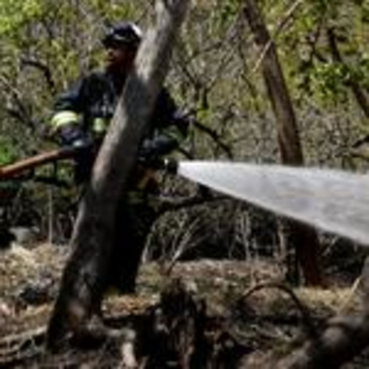 Japan's Swift Response Saves 3,200 from Wildfires - Image 5