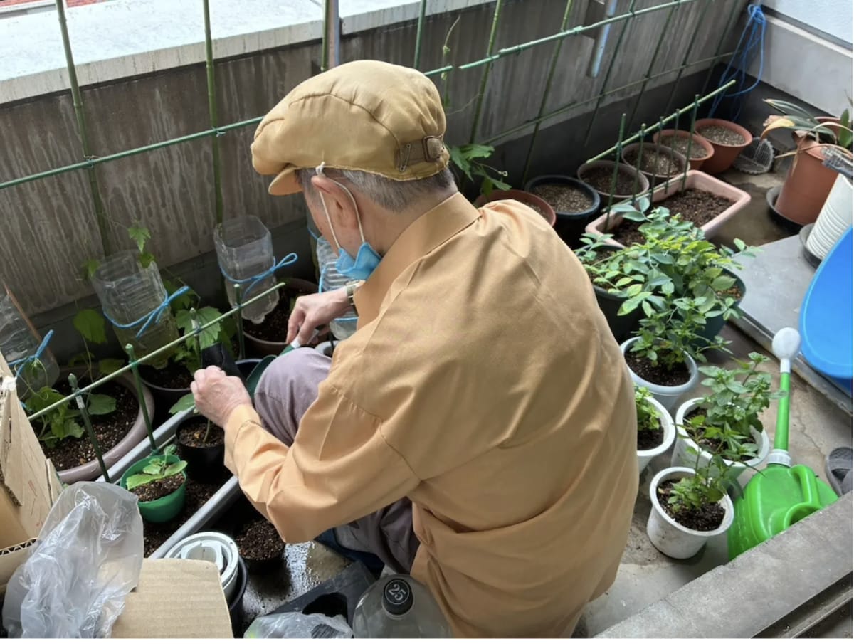 Tokyo Seniors Grow Mint for Kabukicho Cocktails - Image 3