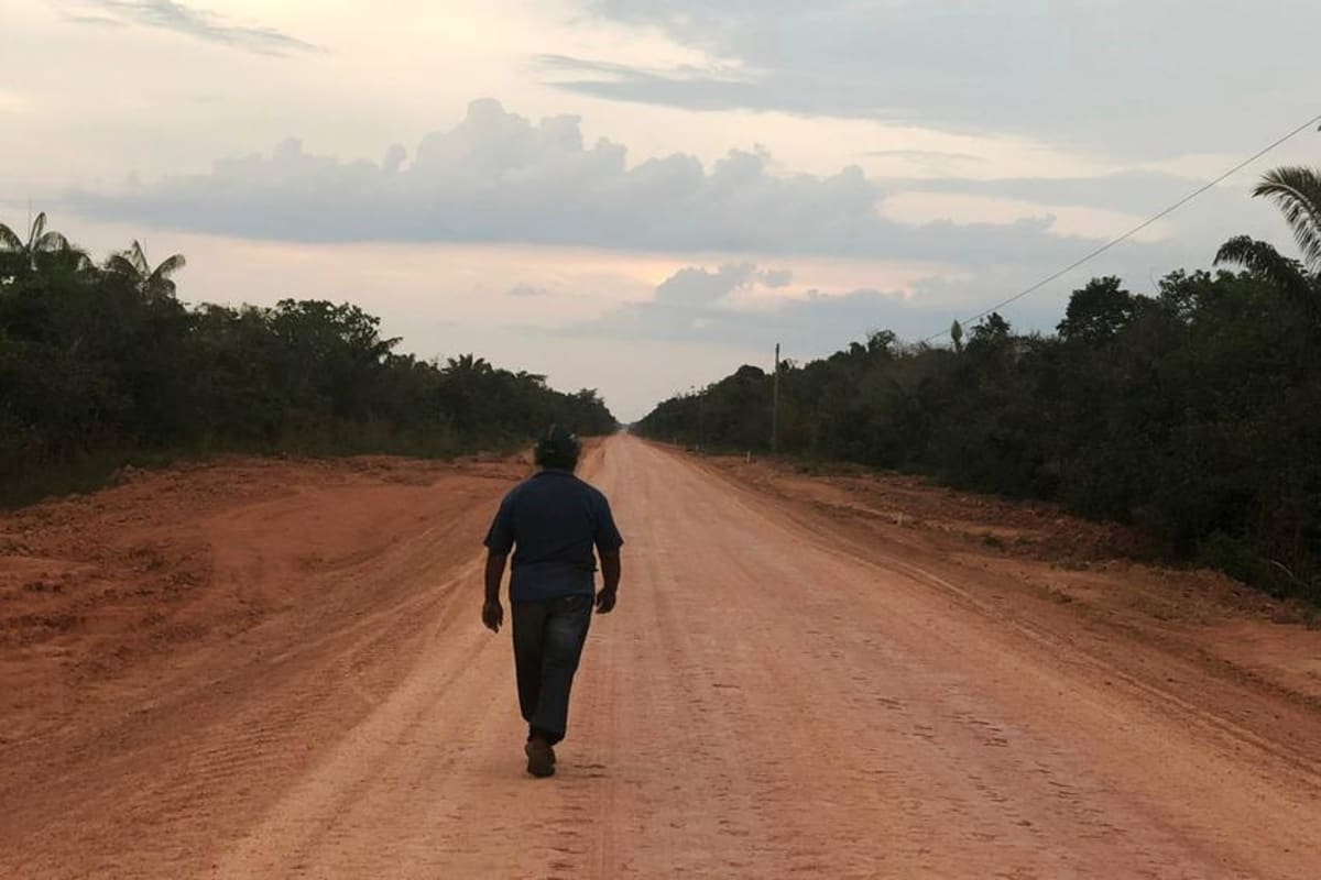 Brazil Invests $75M in Amazon Highway With Protection Plan - Image 2