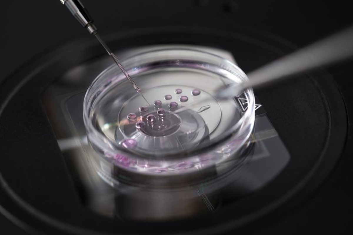 Japan Bans Designer Baby Research With 10-Year Penalty - Image 2