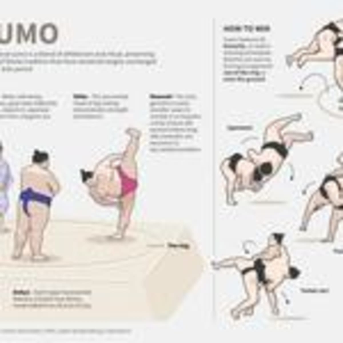 Paris Sumo Tournament Uses 200kg of Sacred French Salt - Image 3
