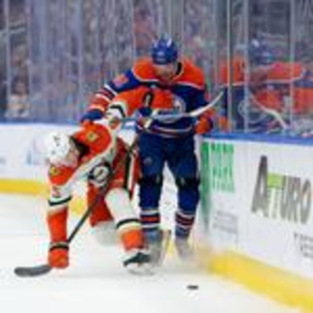 Anaheim Ducks Return to Playoffs After 7-Year Drought - Image 3