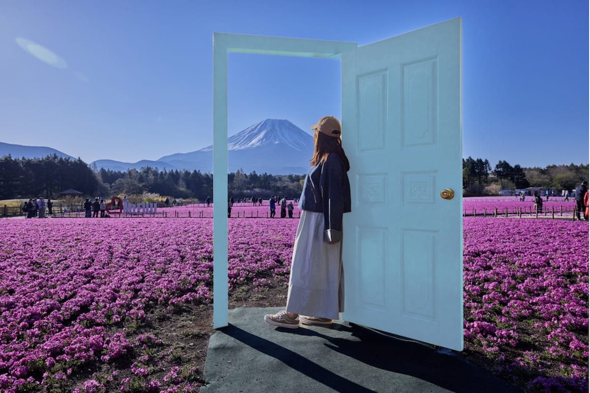 500,000 Flowers Bloom at Mount Fuji Through May - Image 4