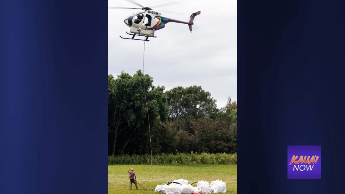 Kauai Volunteers Remove 162,000 Pounds of Beach Trash - Image 4