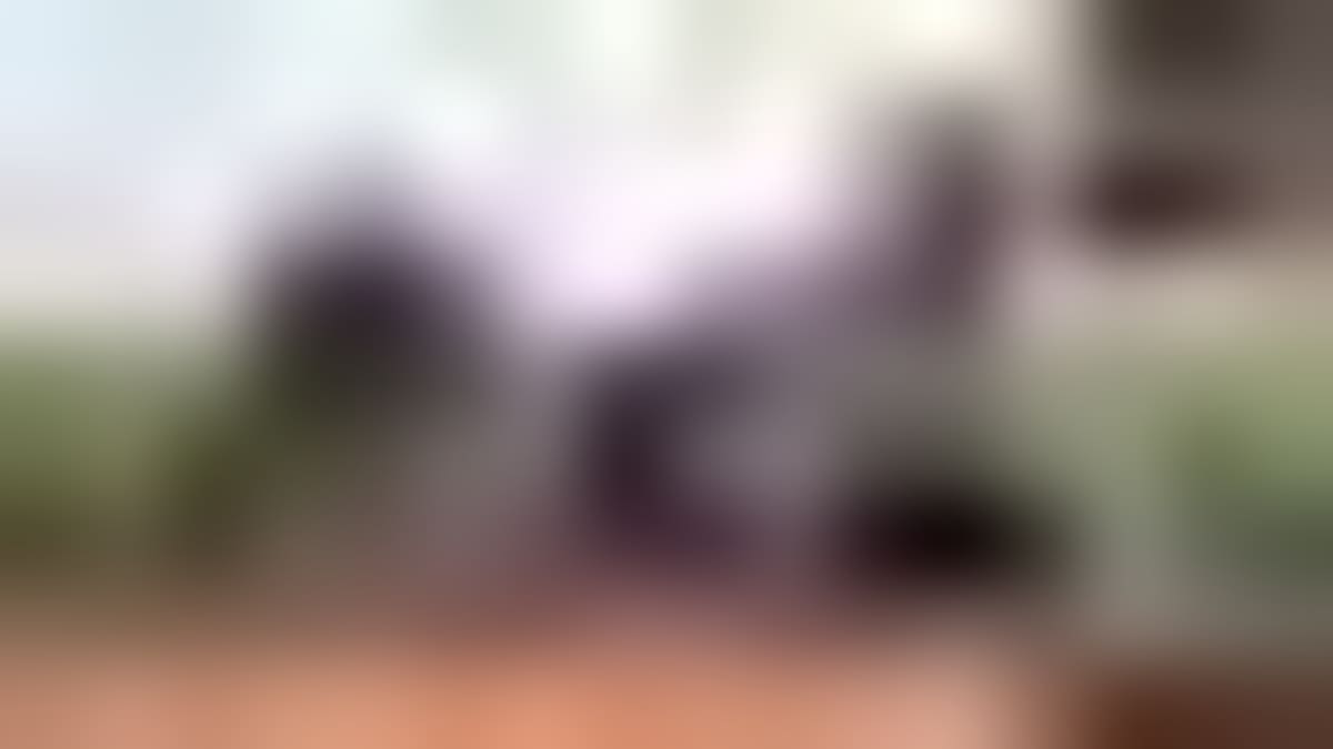 Seattle Women Build 50+ Homes for Families in Need - Image 2