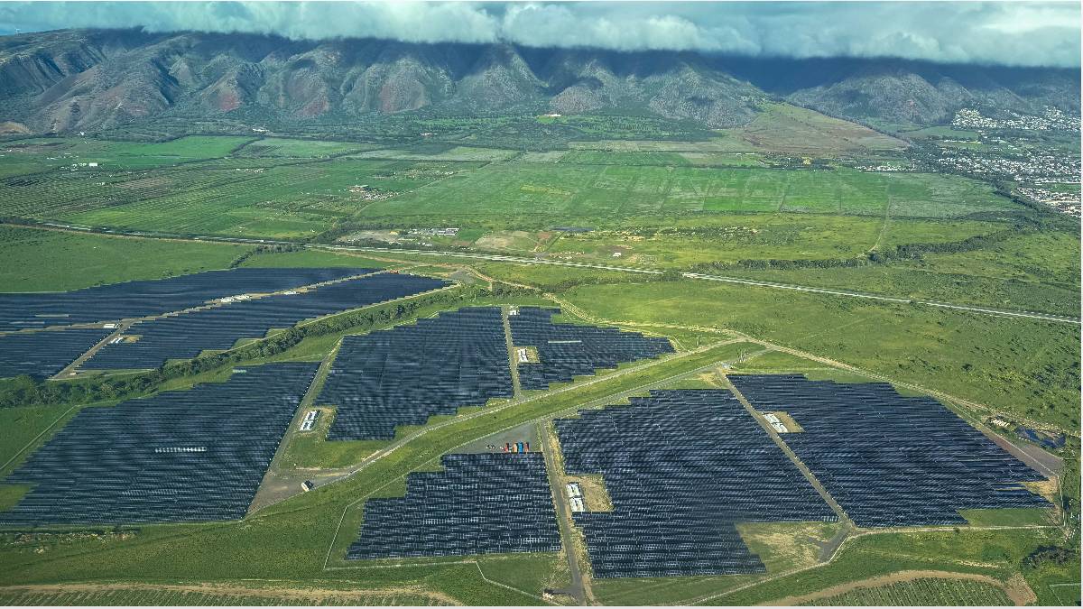 ** Large solar panel array with battery storage units in Central Maui against blue sky