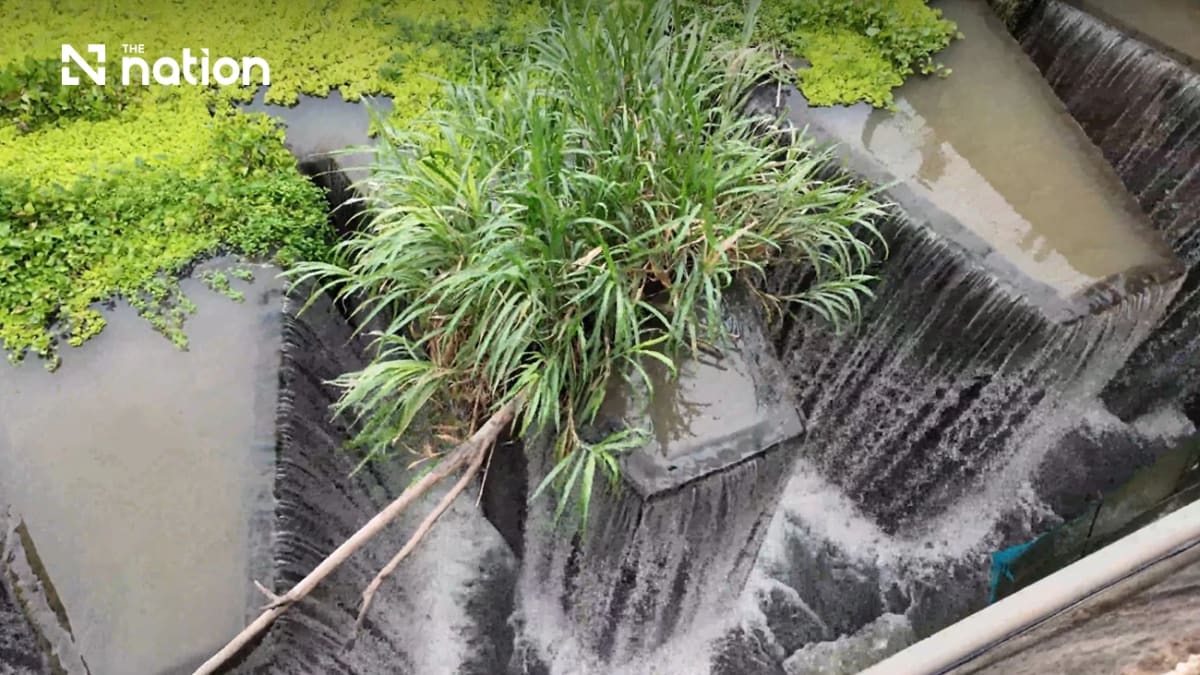 Thailand's Smart Water System Cuts Waste, Boosts Crops