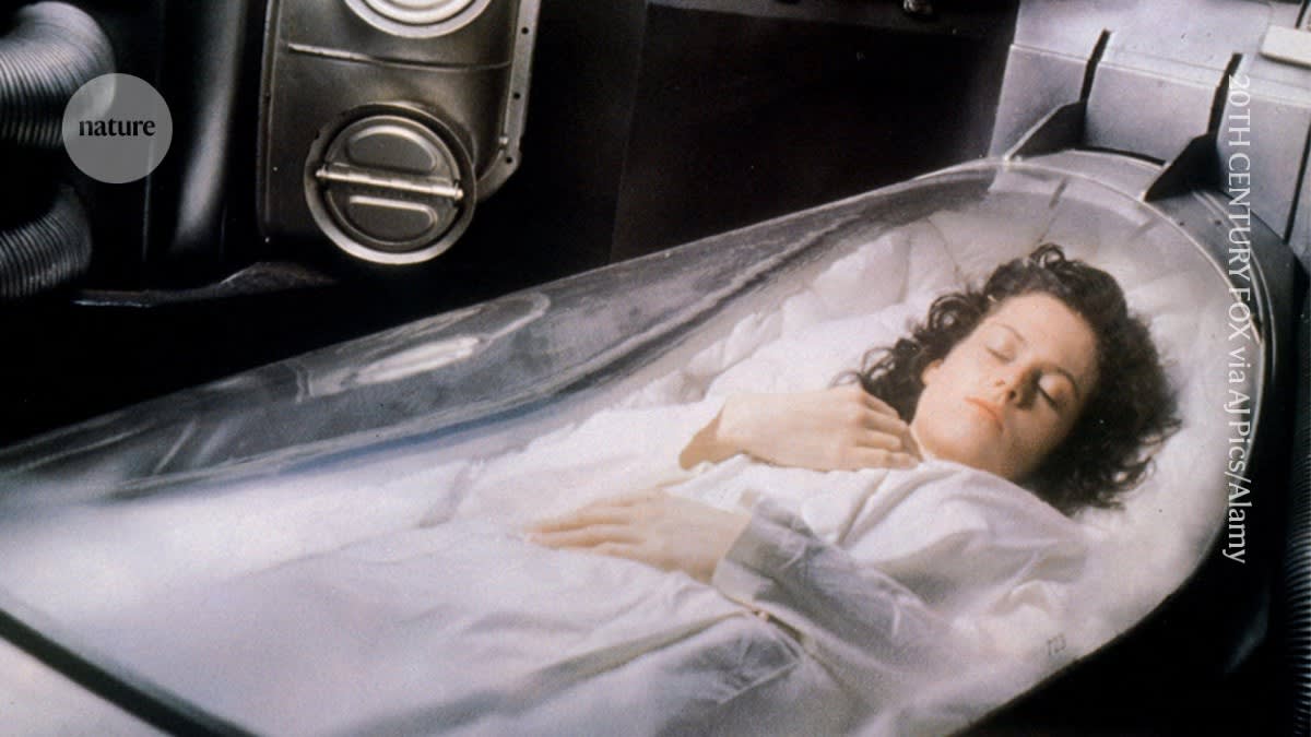 Scientists Freeze and Revive Mouse Brains With Function Intact