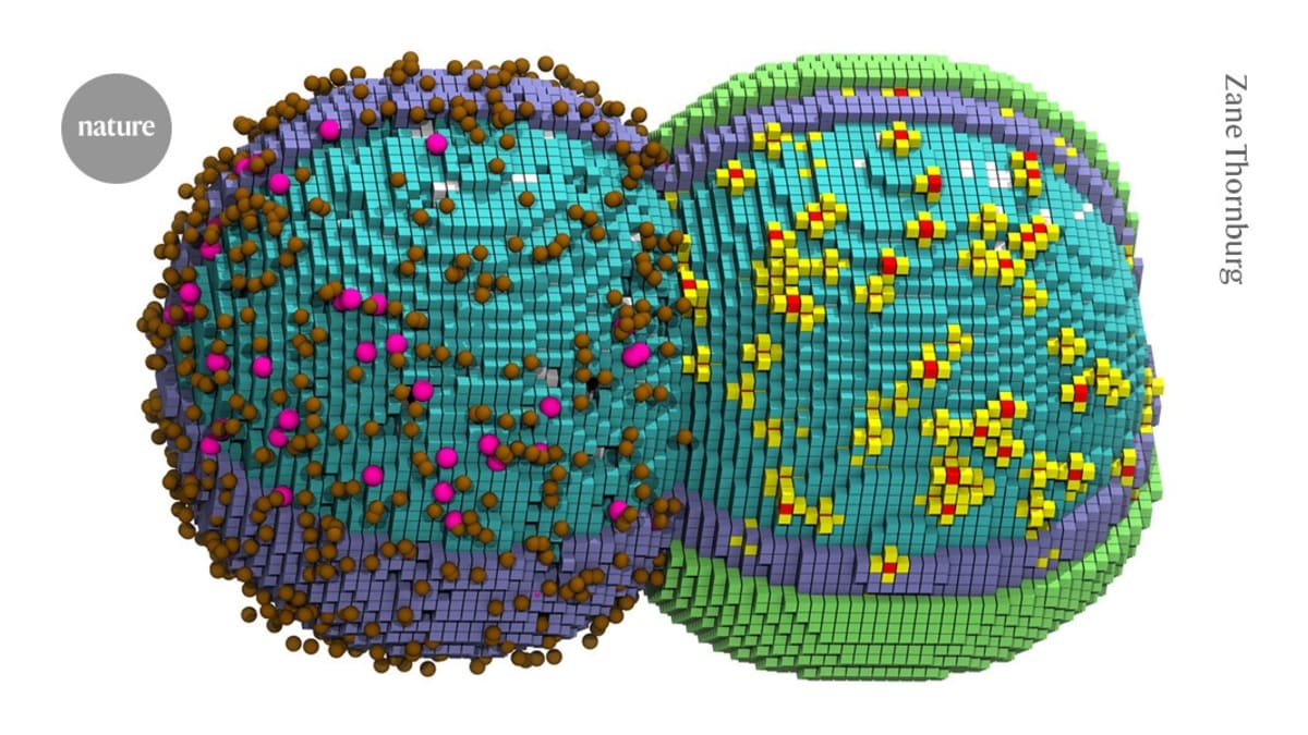 Scientists Simulate Entire Living Cell for First Time
