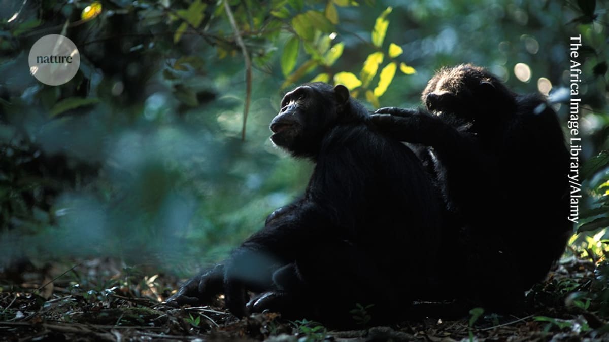 45-Year-Old Paper Still Guides Science of Cooperation