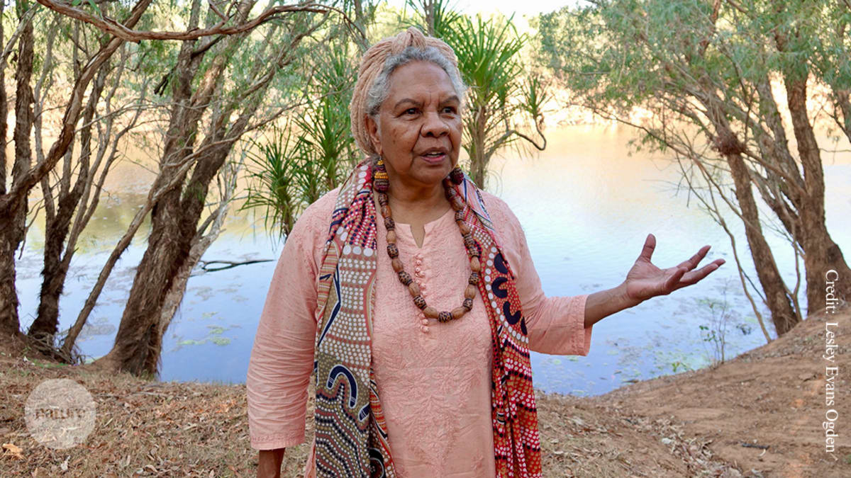 Martuwarra Fitzroy River winding through red rock landscape in Western Australia's Kimberley region