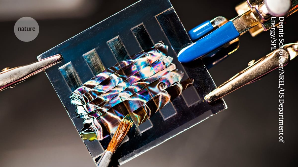 Old Bullets Become Clean Energy in New Solar Breakthrough