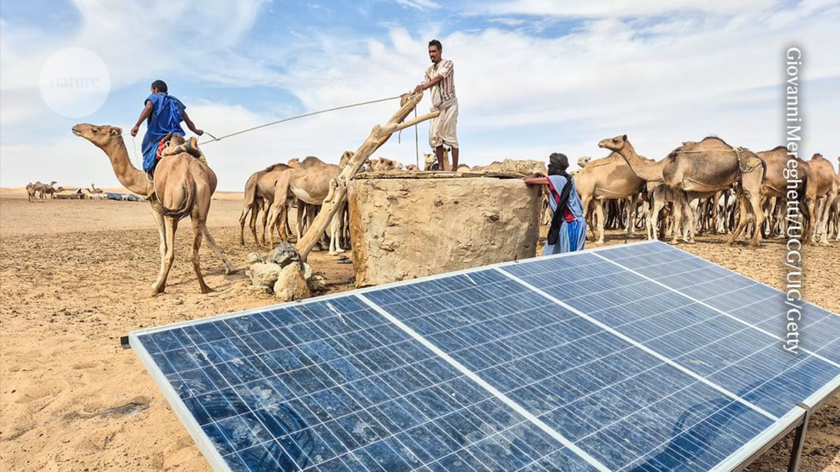 Solar panels installed on buildings in developing nation showing clean energy adoption