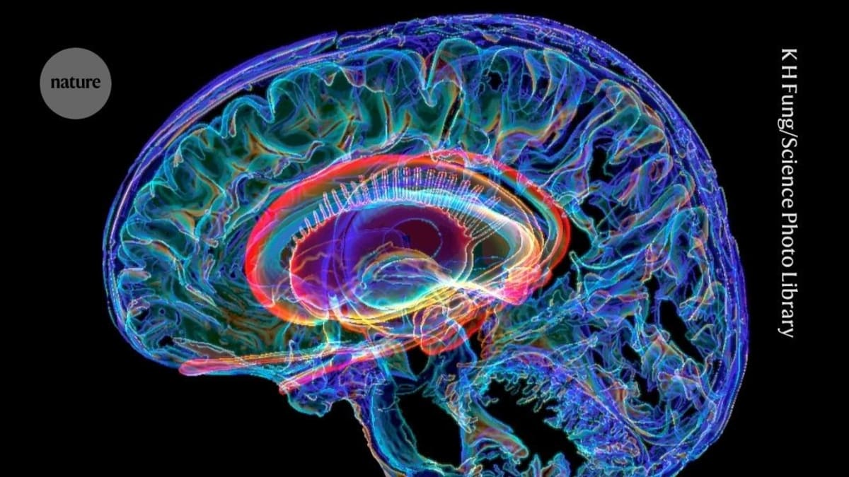 5 Psychedelics Show Similar Brain Patterns in 500+ Scans