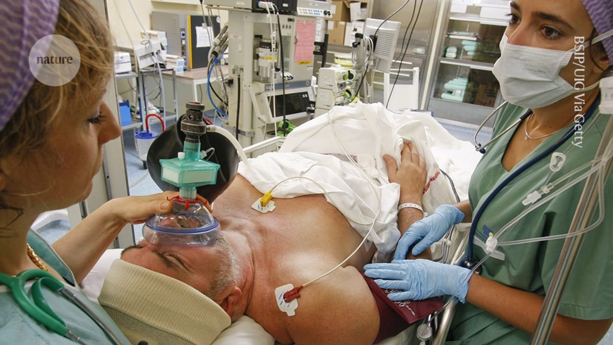 Brain Under Anesthesia Can Still Learn and Predict Words