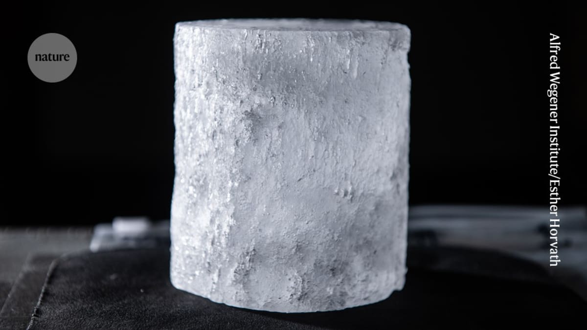 Close-up of cylindrical Antarctic ice core sample showing pristine frozen layers
