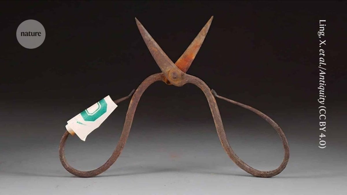 Ancient Chinese Surgeons Used Anesthesia 600 Years Ago