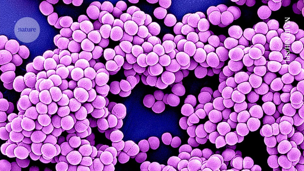 AI Helps Scientists Design Precision Antibiotics