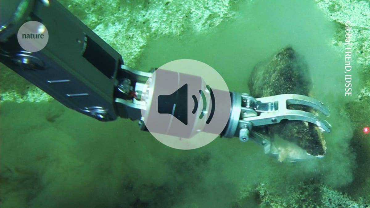 5-Million-Year-Old Whale Graveyard Found in Deep Sea
