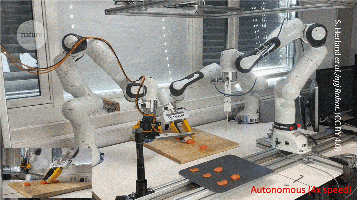 Three-Armed Robot Masters the Art of Sashimi